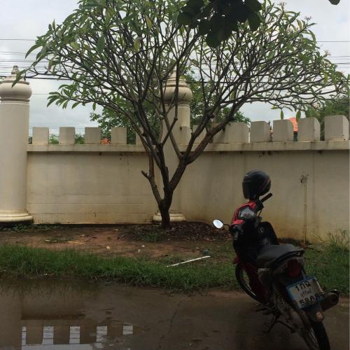 สมาชิกหมายเลข 4112464