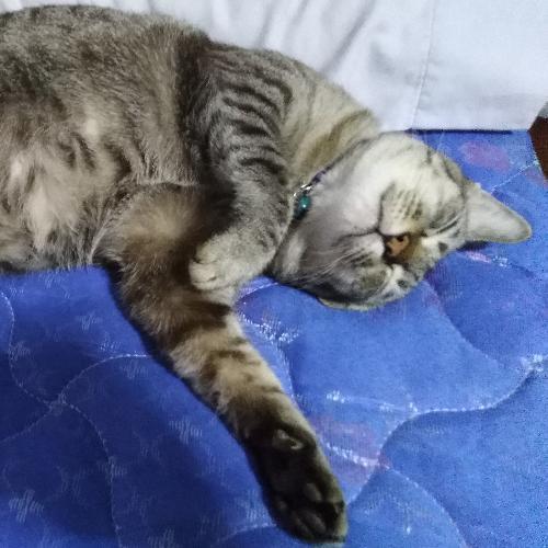 สมาชิกหมายเลข 1407099