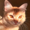 สมาชิกหมายเลข 1747295