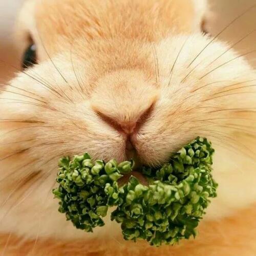 สมาชิกหมายเลข 4880028