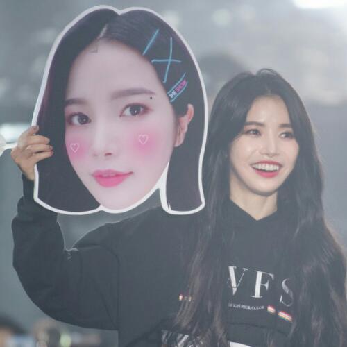 สมาชิกหมายเลข 3993052