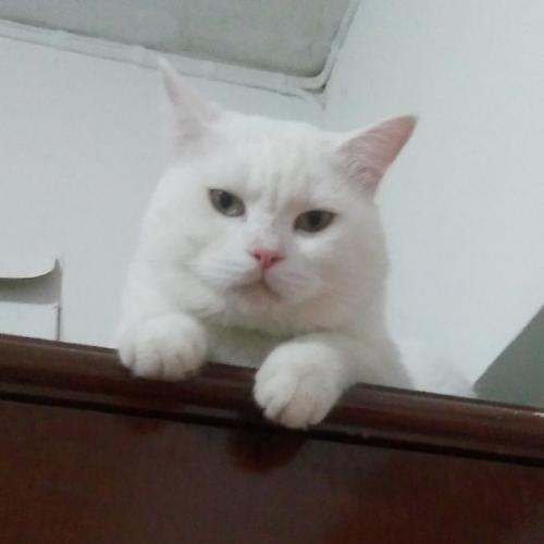 สมาชิกหมายเลข 2661464