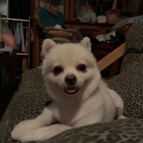 สมาชิกหมายเลข 2672401