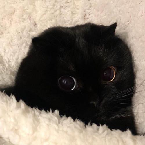 สมาชิกหมายเลข 5279753