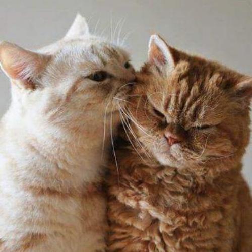 สมาชิกหมายเลข 5716955