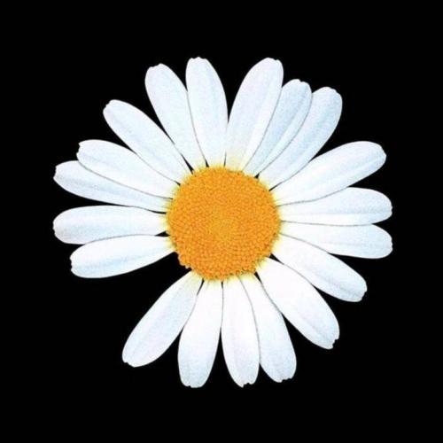 สมาชิกหมายเลข 3471025