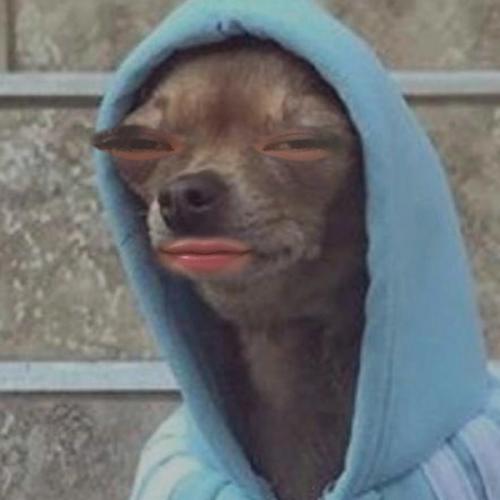 สมาชิกหมายเลข 6974996