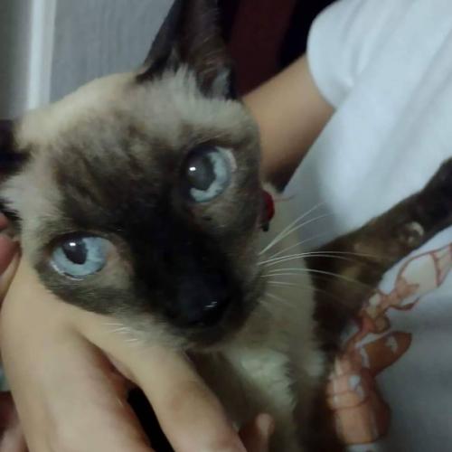 สมาชิกหมายเลข 8693139