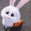 สมาชิกหมายเลข 3443159