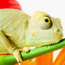 สมาชิกหมายเลข 4049558