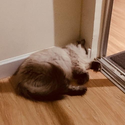 สมาชิกหมายเลข 1283981