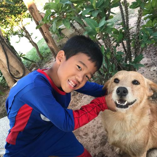 สมาชิกหมายเลข 4541413