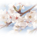 สมาชิกหมายเลข 4881299