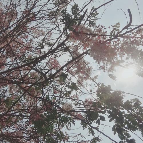 สมาชิกหมายเลข 961994