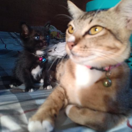 สมาชิกหมายเลข 3178465