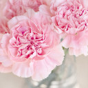 สมาชิกหมายเลข 3809387