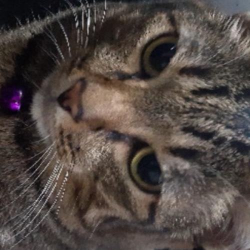 สมาชิกหมายเลข 6298457