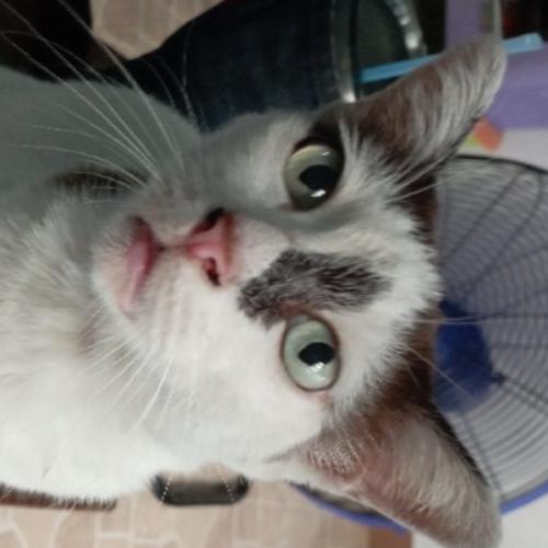 สมาชิกหมายเลข 6613278