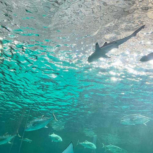 สมาชิกหมายเลข 4193586