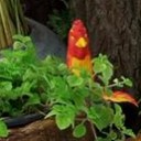 สมาชิกหมายเลข 2271631