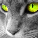 สมาชิกหมายเลข 2730468