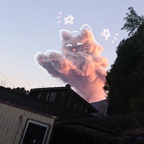 สมาชิกหมายเลข 4881339