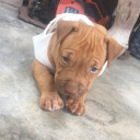 สมาชิกหมายเลข 5275180