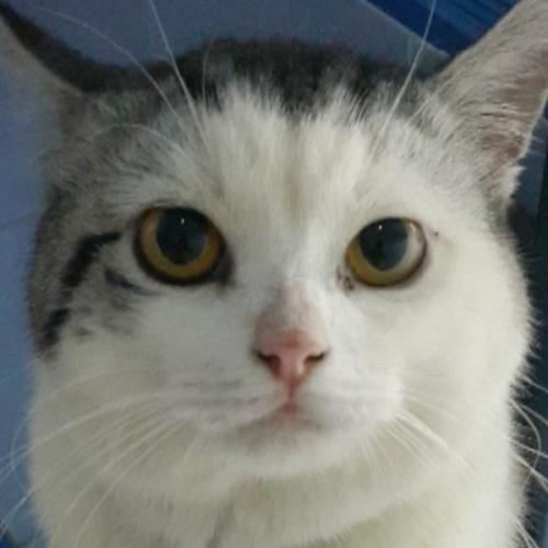 สมาชิกหมายเลข 5717838