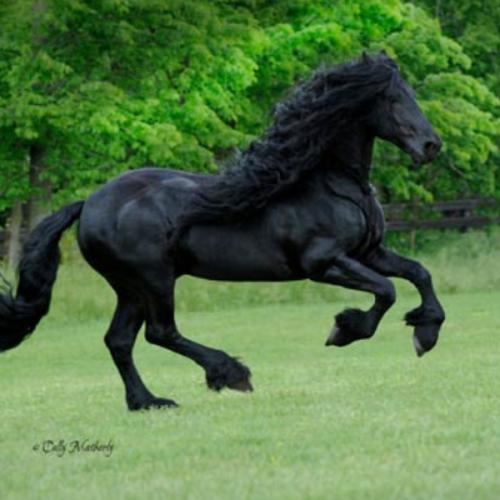 สมาชิกหมายเลข 5718109