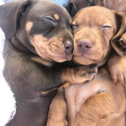 สมาชิกหมายเลข 5718320