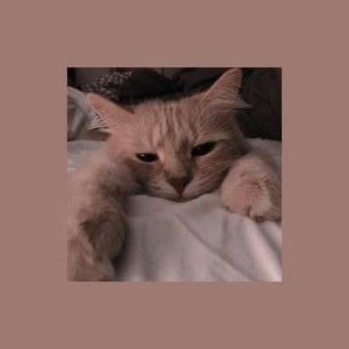 สมาชิกหมายเลข 6075721