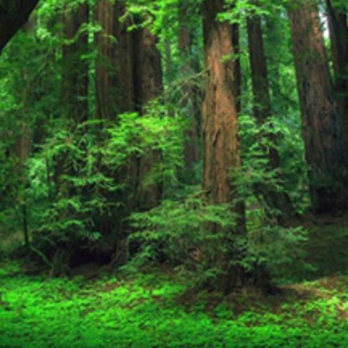 สมาชิกหมายเลข 6298770