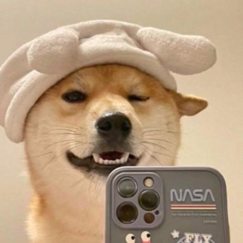 สมาชิกหมายเลข 6702472