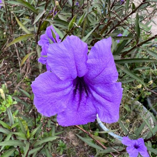 สมาชิกหมายเลข 6976872