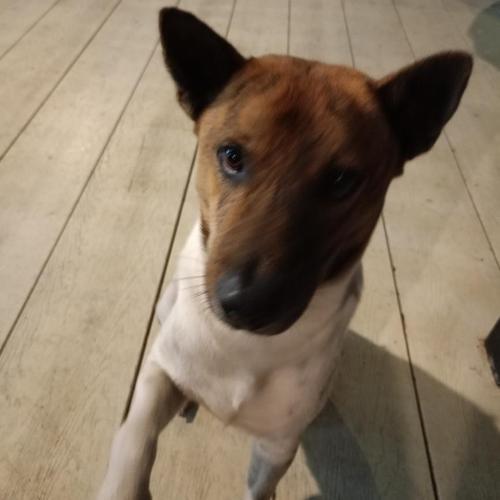 สมาชิกหมายเลข 5510592