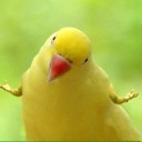 สมาชิกหมายเลข 3650686