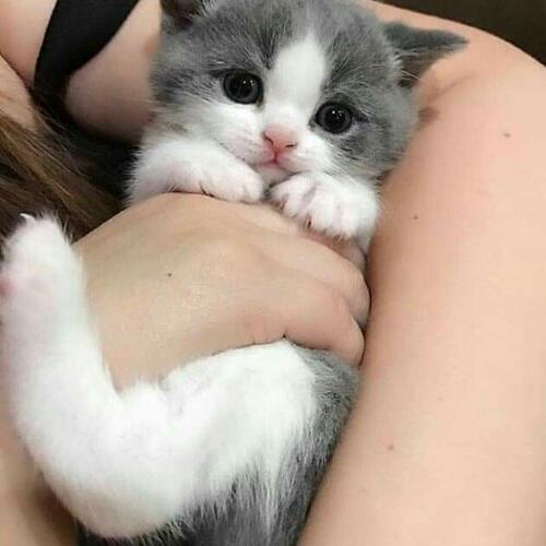 สมาชิกหมายเลข 4881835