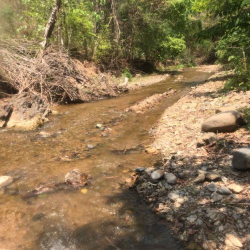 สมาชิกหมายเลข 4859762