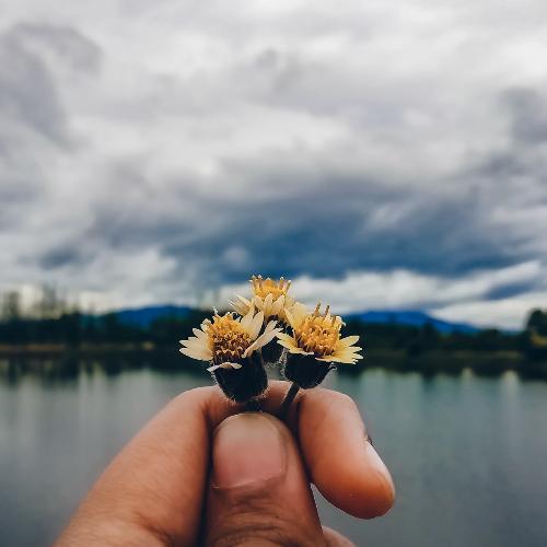 สมาชิกหมายเลข 5275441