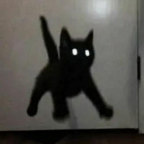 สมาชิกหมายเลข 6300022