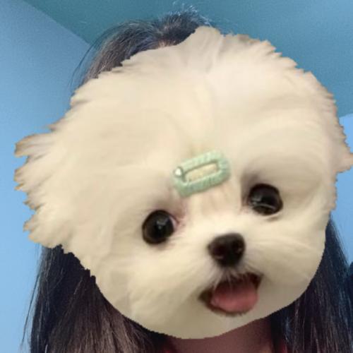 สมาชิกหมายเลข 3778985