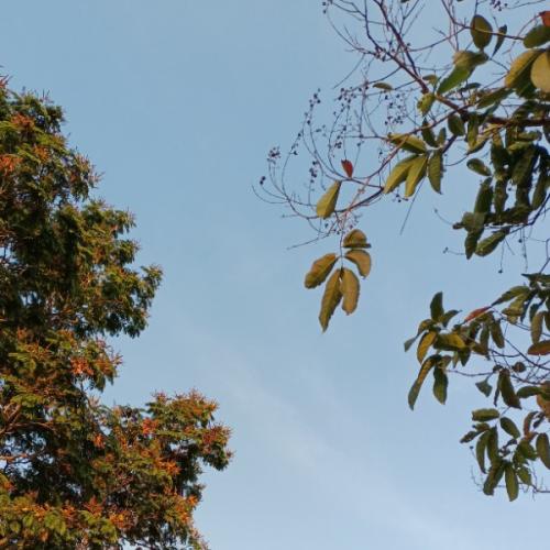 สมาชิกหมายเลข 8059253