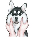 สมาชิกหมายเลข 3649524