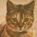 สมาชิกหมายเลข 4113979