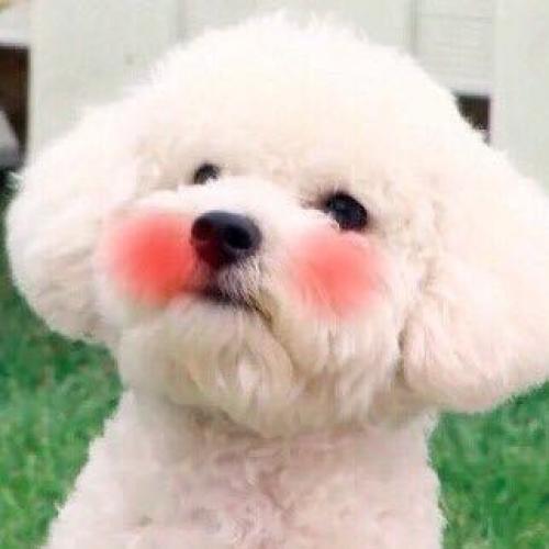 สมาชิกหมายเลข 2613976