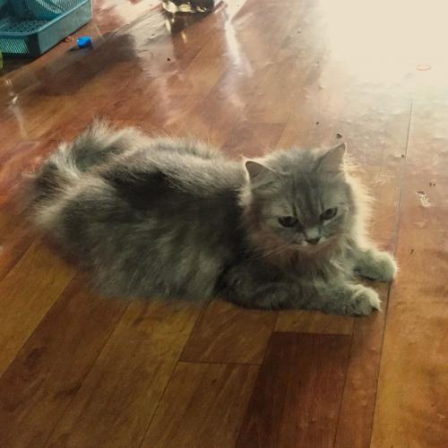 สมาชิกหมายเลข 2594812