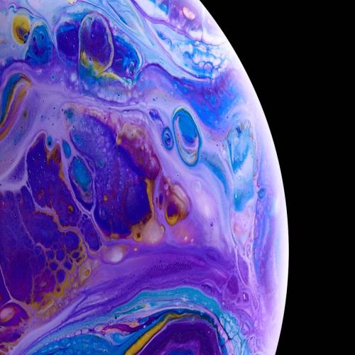 สมาชิกหมายเลข 4879003