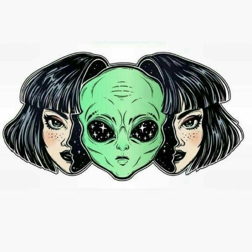 สมาชิกหมายเลข 800650