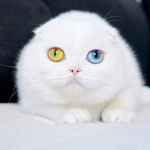 สมาชิกหมายเลข 4883421