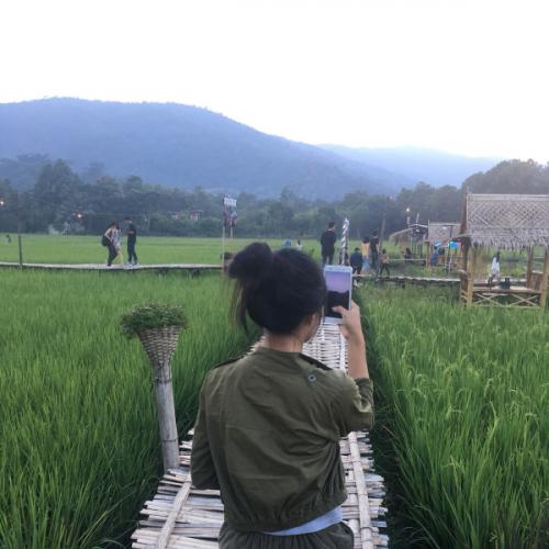 สมาชิกหมายเลข 5276095